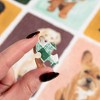 1canoe2 Jigsaw Puzzle Furry Friends Grid - 500pc - 3 of 4