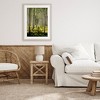 Stupell Industries Small And Tall Birch Forest Framed Print Under Glass - 3 of 4