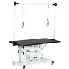 UbMelt 42.5 Inch Hydraulic Pet Grooming Table with Adjustable Height and Noose for Medium/Large Dogs - 2 of 4