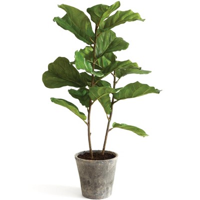 Plum & Post Fiddle Leaf Fig Potted 43"