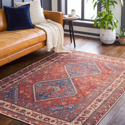Hauteloom Bademli Washable Area Rug