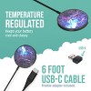 Smartish MagSafe Charger - Charge Dinghy - Magnetic Wireless Charger - 4 of 4