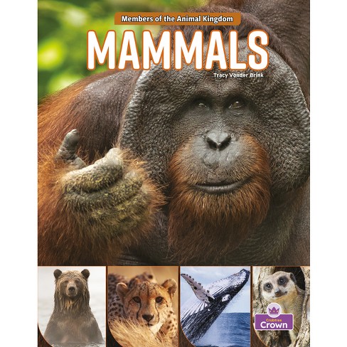 Mammals - By Tracy Vonder Brink (paperback) : Target