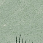 luster gray