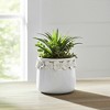 Decorative Flower Pot for Home Decor - Ceramic Indoor or Outdoor Planter with Sculpted Floral Rim - Perfect for Garden, Patio, or Room Decor - 2 of 4