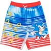SEGA  Sonic The Hedgehog     Swim Trunks Bathing Suit Little Kid to Big Kid - 3 of 4