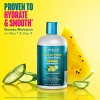 Mielle Organics Kalahari Melon & Aloe Vera Deep Hydration Shampoo - 12 fl oz - 3 of 4