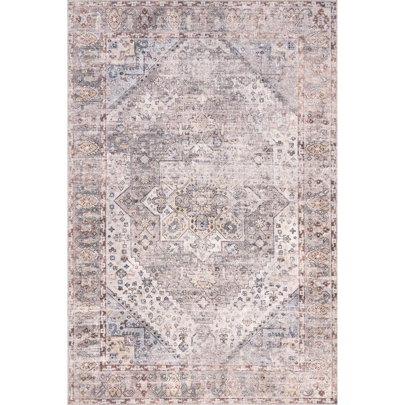 Kirsty Traditional Distressed Cotton Area Rug, 1 of 11