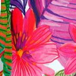 island bright tropical