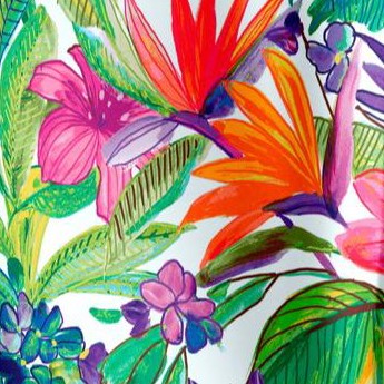 island bright tropical
