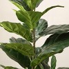 Artificial Tree - Faux 36" Potted Ficus Lyrata Tree - FXP1009 - Multicolored - Safvieh - 3 of 4