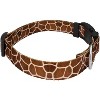 Country Brook Petz Deluxe Giraffe Dog Collar Limited Edition - Made in the U.S.A (5/8 Inch, Small) - 3 of 4