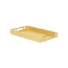 Cheung's Lusan Vinyl Tray - Gold Faux Snakeskin - 3 of 4