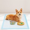Tangkula 30"x 30"(300 Counts) Dog Potty Training Pads Puppy Pee Pads w/ Quick-Drying - 4 of 4