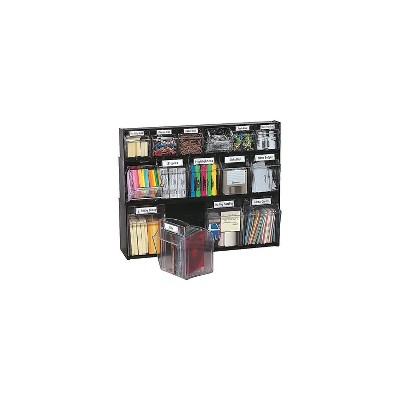 Black and Transparent 4-Compartment Plastic Box Organizer