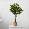 Nearly Natural 28-in Lemon Artificial Tree in Decorative Planter - 4 of 4