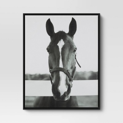 24" x 30" Black and White Horse Framed Canvas - Threshold™