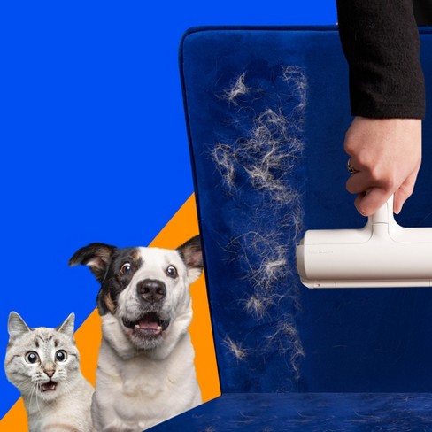 Furemover Broom Review: Cheap, Effective Pet Hair Remover