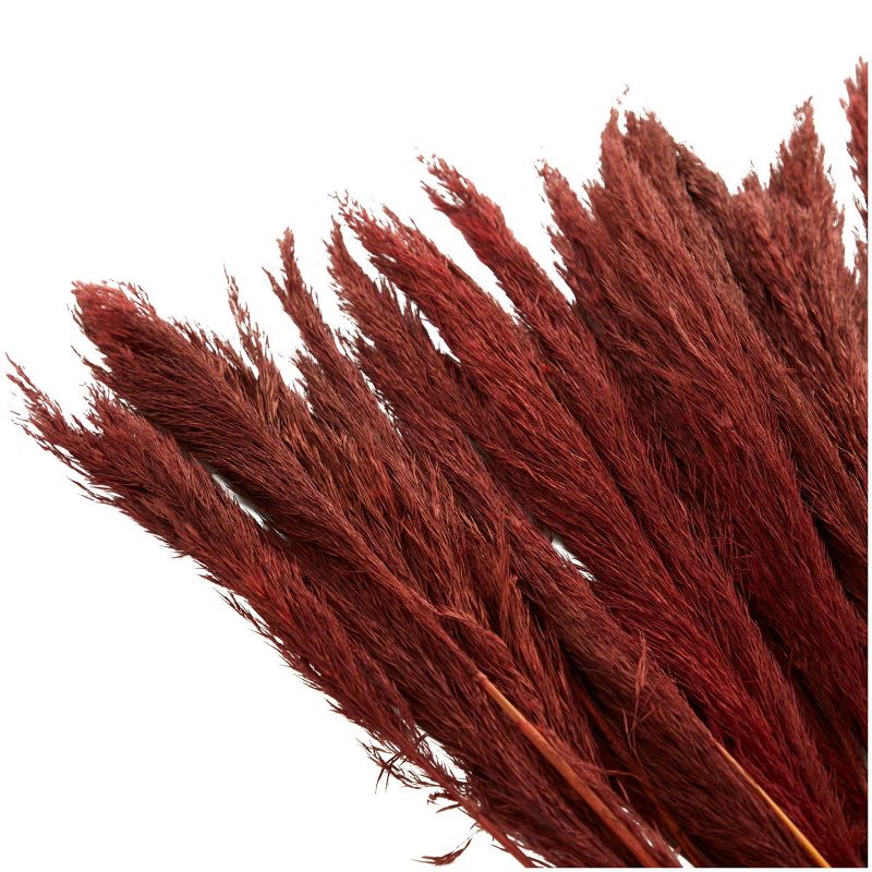 35&#39;&#39; x 2&#39;&#39; Dried Plant Pampas Natural Foliage with Long Stems Red - Olivia &#38; May, 3 of 7
