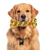 Unique Bargains Bone Shape Dog Chew Rope Orange Green 1 Pc - 4 of 4
