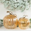 Transpac Glass 9.25 in. Orange Harvest Glossy Pumpkins Set of 2 - 2 of 3
