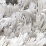 cream, tan, light gray