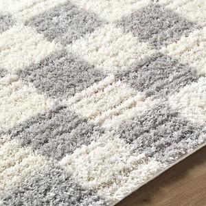 Hauteloom Belita Tan Luxe Shag Area Rug - 1 of 4