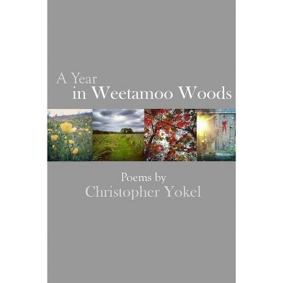 A Year In Weetamoo Woods - by  Christopher Yokel (Paperback)