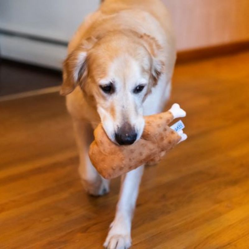 Midlee Roasted Thanksgiving Turkey Plush Dog Toy, 3 of 10