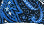blue paisley