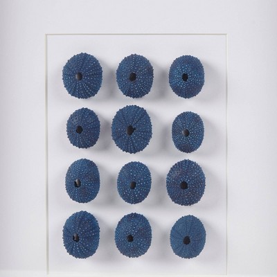 Indigo Shells Natural Sea Urchin Framed Shadowbox Art