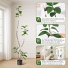 Artificial Rubber Tree, 7ft Tall Fake Plants with White Planters, Artificial Plants Indoor with Multicolored Pebbles - 4 of 4