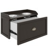 Gsluuk PawHut Dog Feeding Station with Storage Drawer, Dog Food Storage Cabinet with 2 Removable Elevated Dog Bowls for Large Sized Dogs, Coffee - 3 of 4