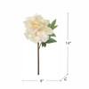 Gulches 4 Pack 14 Inch Faux Peony - White with Pink, Almost Real Artificial Peony Stems, Delicate Fabric & Plastic Flowers - 2 of 4
