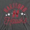 University of Hartford Official Hawks Adult Pull-Over Hoodie - 2 of 4