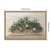 Amanti Art Market Geraniums Crop by Carol Rowan Framed Canvas Wall Art - 4 of 4