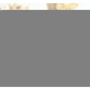TruAIR 15" Panoramic Rear View Mirror (White) - 1 of 4