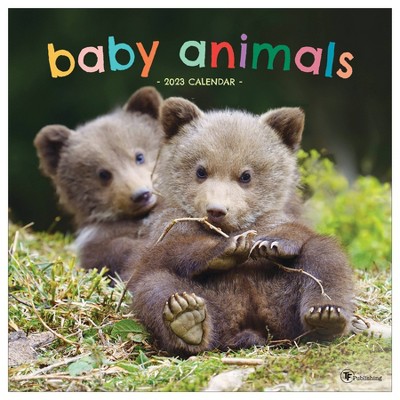 2023 Wall Calendar Baby Animals - TF Publishing