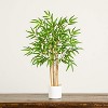 HomeStock  2.5 ft. Artificial Bamboo Tree in Pot for Indoor/Outdoor - 3 of 4