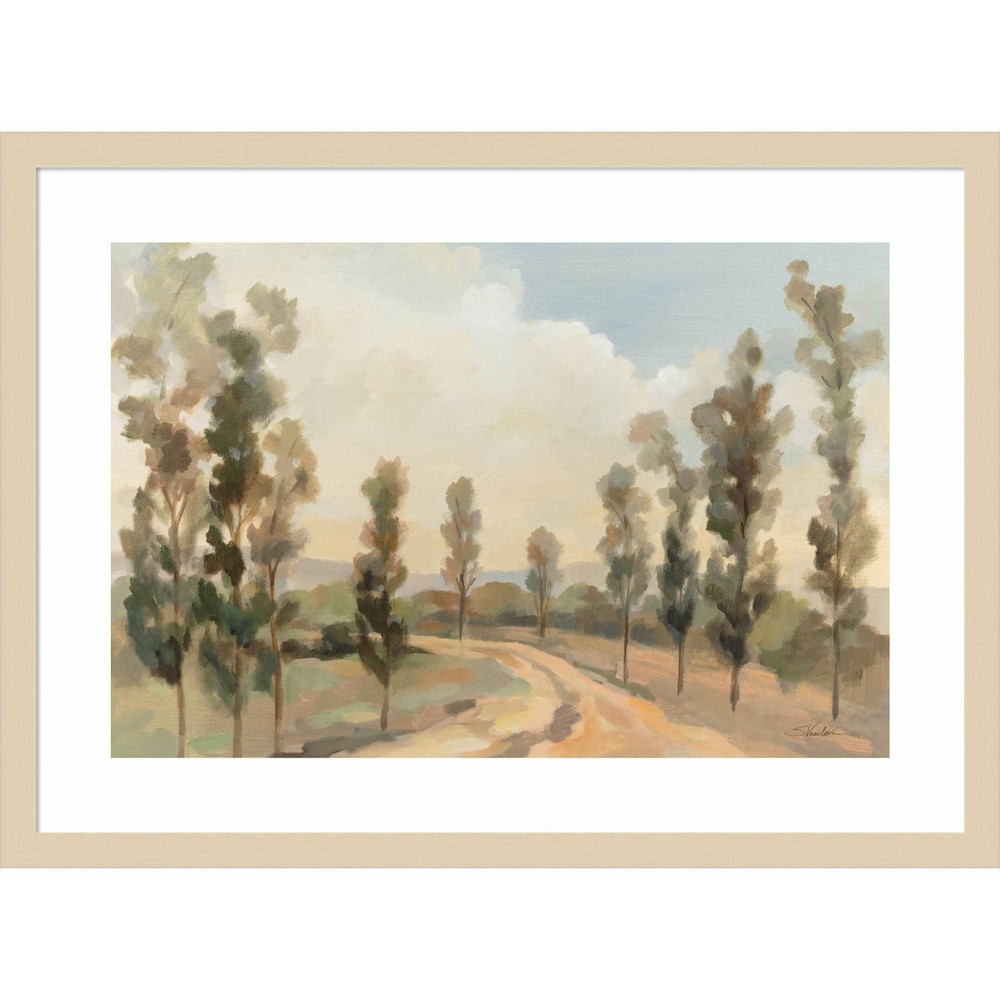 Photos - Wallpaper Amanti Art 25"x19" Poplar Trees by The Road by Silvia Vassileva Wood Frame