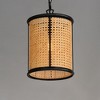 Maxim Lighting Cane 1 - Light Pendant in  Black - 2 of 3