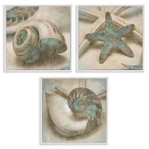 Stupell Industries Starfish & Sea Shells Distressed, 12" x 12" - 1 of 4