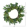 Nearly Natural 22” Eucalyptus And Berry Artificial Wreath : Target