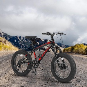 RISOKEYS Kids Mountain Bike 20 Inch, 4" Wide Fat Tire, 7 Speed Ages 8-12 Year Old, Steel Frame Disc Brake Front/Dual Suspension, - 1 of 4