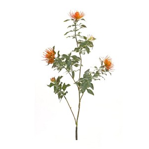 Melrose Flocked Protea Spray (Set of 6) - 1 of 3