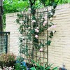 Lirago 86.7"H * 19.7"W * 1"D,2 Pack Metal Garden Trellis Rustproof Climbing Plant Support for Outdoor Flowers, Vines, Vegetables Black Powder-Coated - 2 of 4