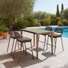 Rio Barstool – 40" H Outdoor Brown Powder-Coated Steel & Rattan By Zuo Modern (Set of 2) - 2 of 4