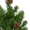 Northlight 3' Pre-Lit Canadian Pine with Pine Cones Artificial Christmas Tree - Clear Lights - 4 of 4