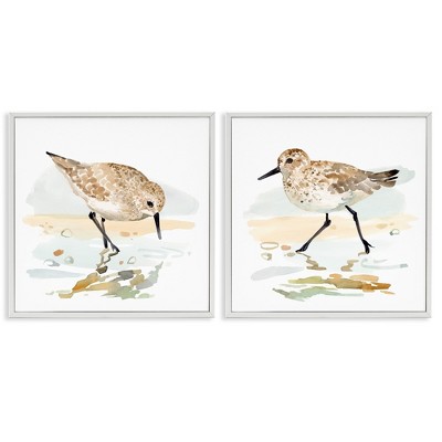 Stupell Industries Sea Birds on Shore, 24" x 24"