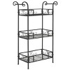 Noreen 3 Tier Shelf - Indoor/Outdoor - PAT5006 - Safavieh - 3 of 4